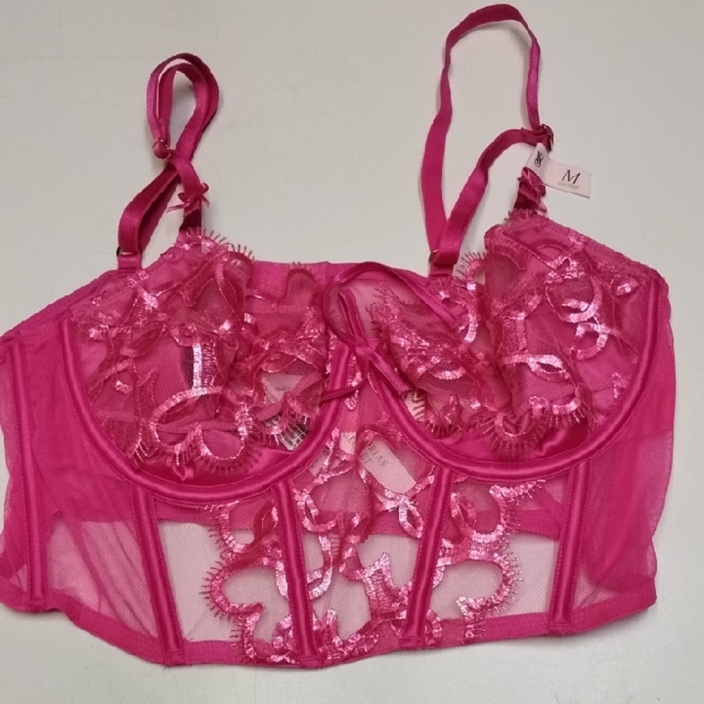 Nwt Victoria's Secret Wicked Shimmer Heart Embroidery Corset